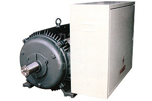 DYG系列高起動轉(zhuǎn)矩多速電動機(jī)
